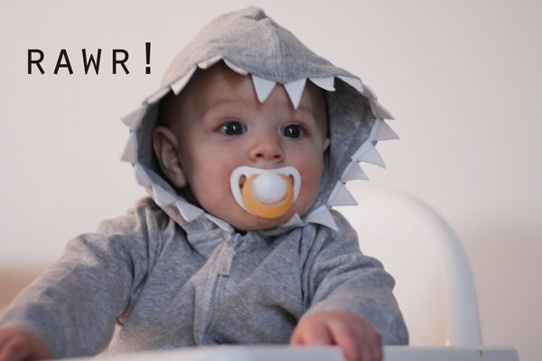 Shark Hoodie