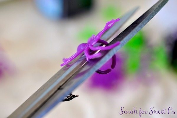 spiders cutting