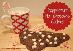 Peppermint-HotChocolate-Cookies-1024x719