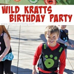 Wild Kratts Birthday Party