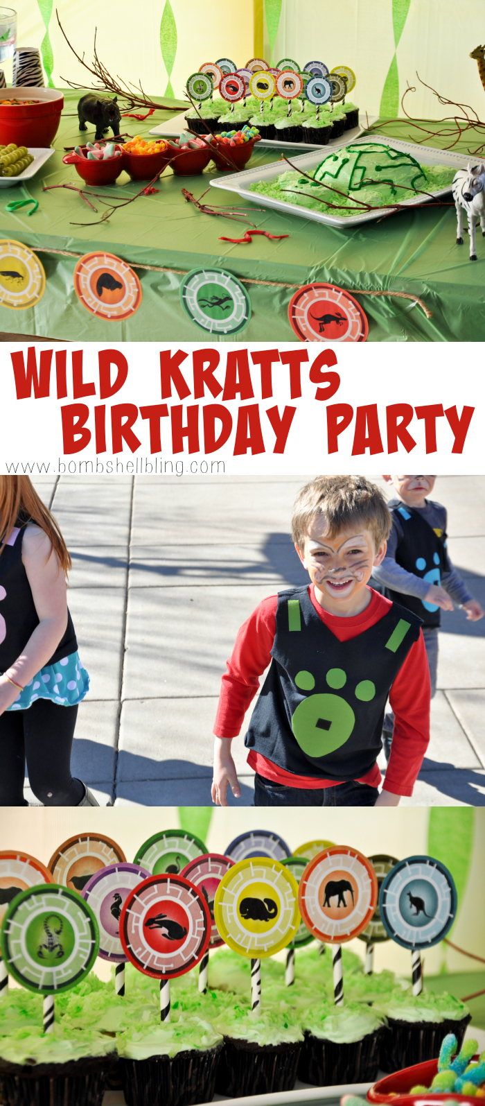 This Wild Kratts birthday party is THE CUTEST!!!
