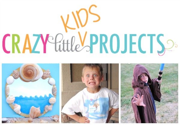 Sunday Spotlight on Crazy Little Projects