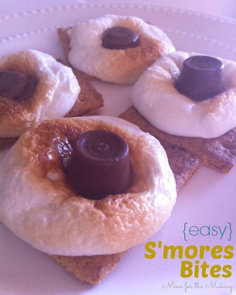 S’mores Bites