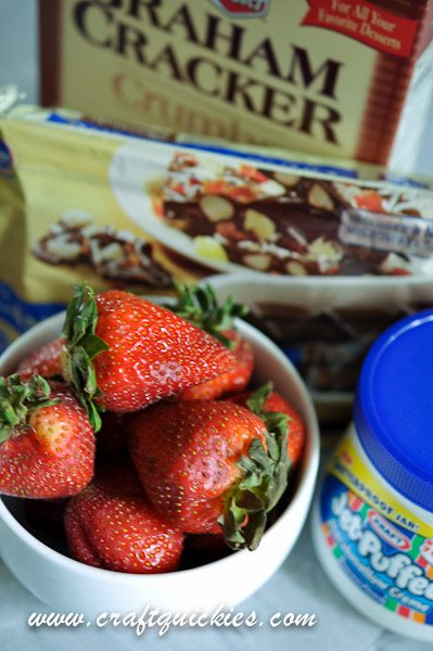 Holy moly! S'MORES DIPPED STRAWBERRIES! YUM!!