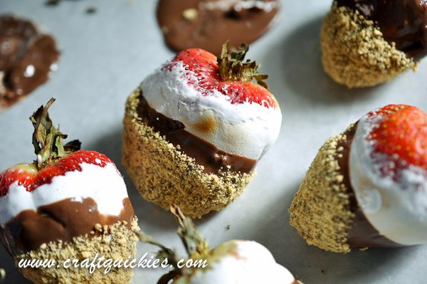 Holy moly! S'MORES DIPPED STRAWBERRIES! YUM!!