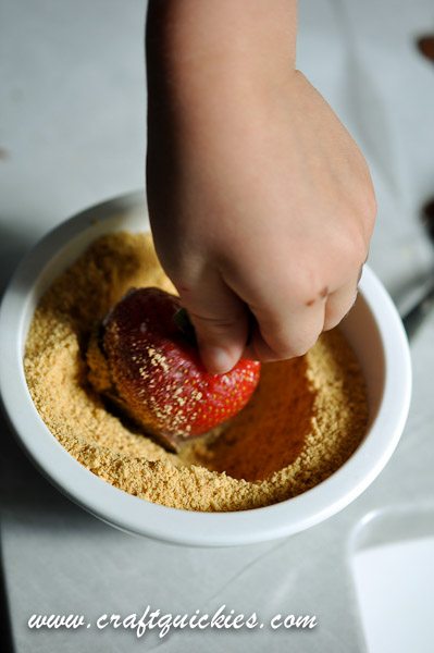 Holy moly! S'MORES DIPPED STRAWBERRIES! YUM!!