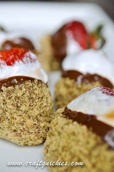 Holy moly! S'MORES DIPPED STRAWBERRIES! YUM!!