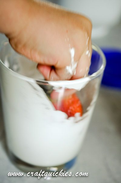Holy moly! S'MORES DIPPED STRAWBERRIES! YUM!!