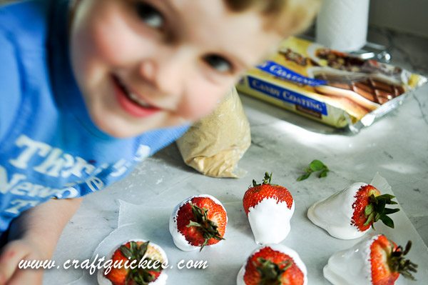 Holy moly! S'MORES DIPPED STRAWBERRIES! YUM!!
