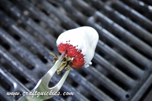 Holy moly! S'MORES DIPPED STRAWBERRIES! YUM!!