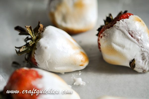 Holy moly! S'MORES DIPPED STRAWBERRIES! YUM!!