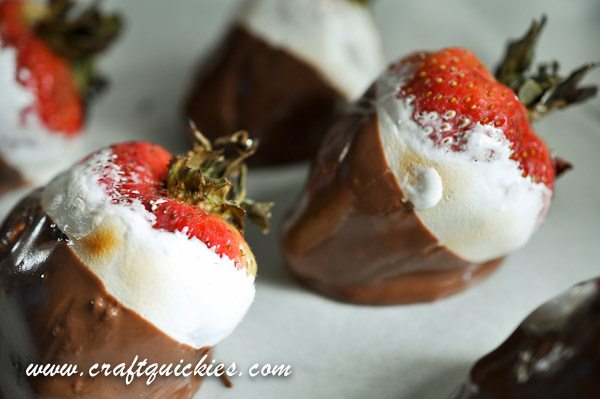 Holy moly! S'MORES DIPPED STRAWBERRIES! YUM!!