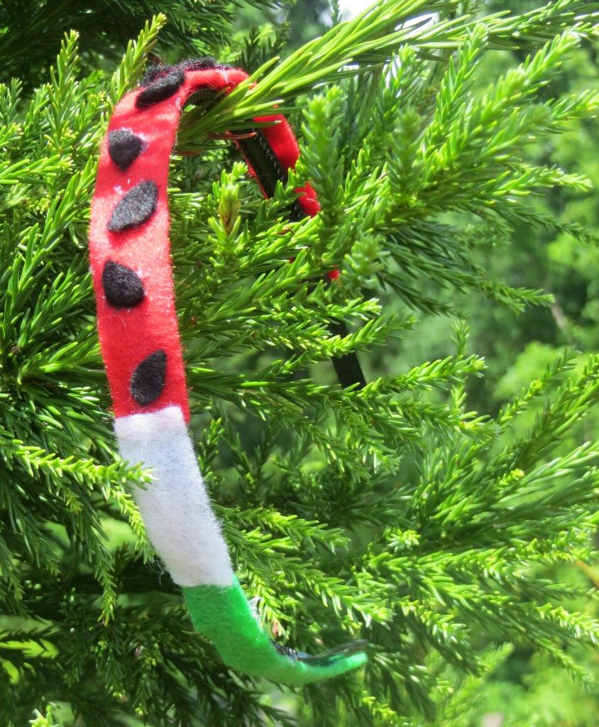 Watermelon Headband