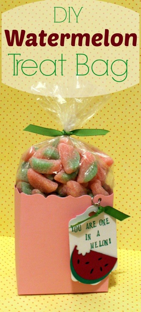 Watermelon_Treat_Bag-001