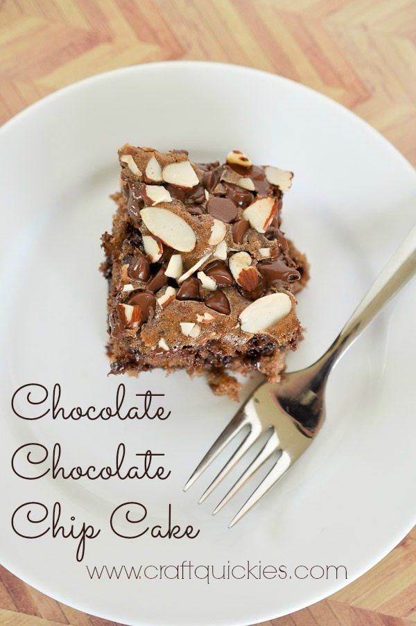 This family recipe for Chocolate Chocolate Chip Cake is amazingly moist and portable! Perfect for picnics and events!