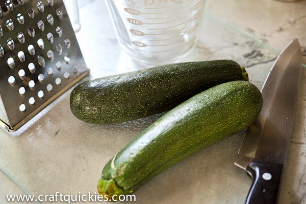 Fabulous Zucchini Bread Recipe! We devour it straight from the oven every time I make it!