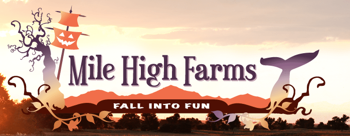 Colorado Fall Fun!