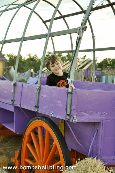 Mile High Farm Picturs-3