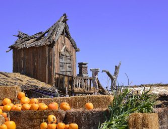Colorado Fall Fun!
