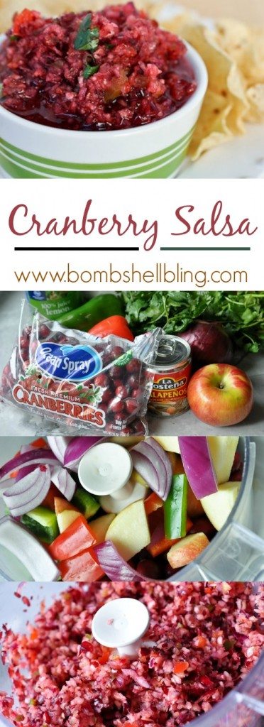 Cranberry salsa is a unique take on a traditional holiday food. Quick and easy to make, it's the perfect appetizer to serve at any holiday party!
