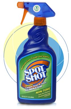Cleaning supplies- Spot Shot