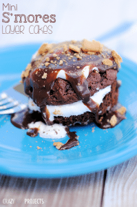 Mini S'mores Layer Cakes