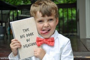 The Big Book of Dragons-9