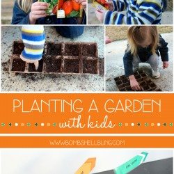 Planting a Garden with Kids