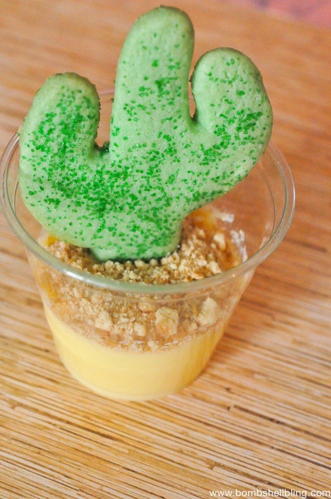 Cowboy Cactus Treat-2