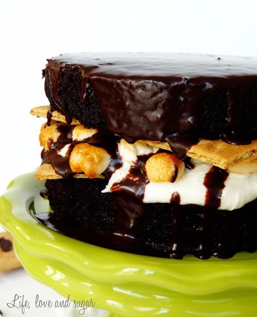 *smores_chocolate_cake5