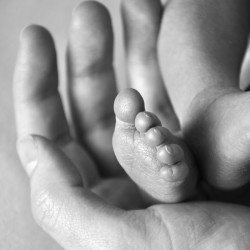 Anchored by Beautiful Moments: An Essay on Finding More Joy in Motherhood