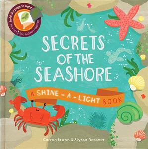 Secrets of the Seashore: A Shine-a-Light Book