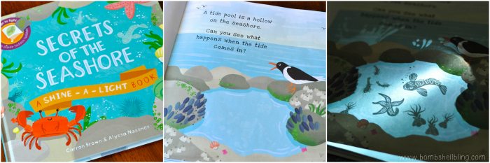 Secrets of the Seashore