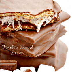 Chocolate Dipped S’mores