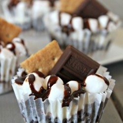 Mini S’mores Cheesecake Recipe