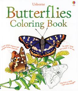 0001293_butterflies_coloring_book_300