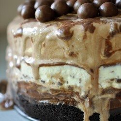 Chocolate Malt Frozen Custard Cake