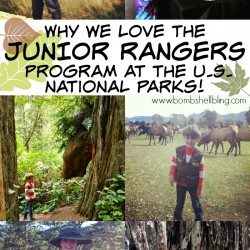 The Junior Ranger Program at the US National Parks: Why We LOVE It!