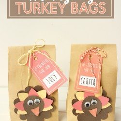 Thanksgiving Turkey Bags