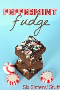 peppermint-fudge2-700x1050