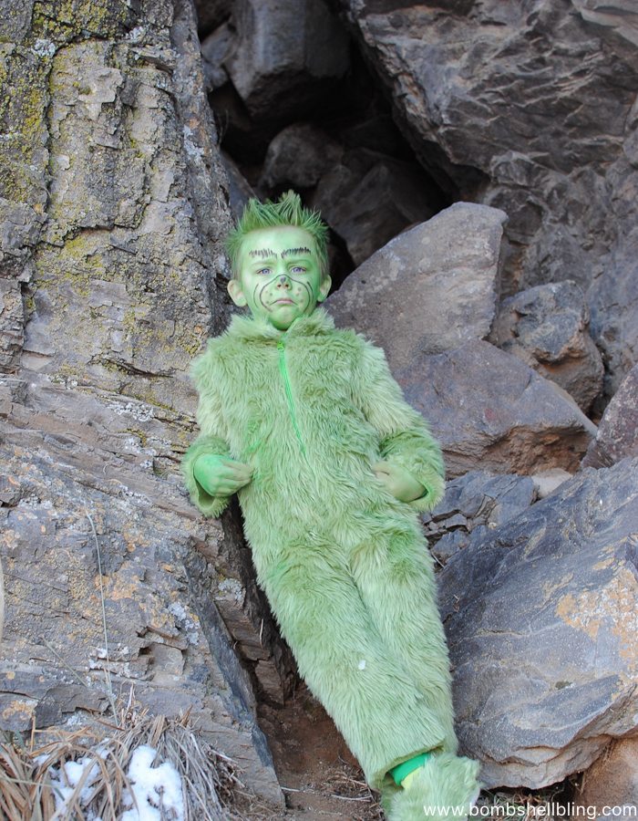 The Grinch Costume--Bombshell Bling