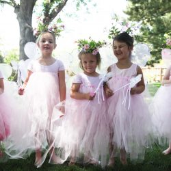 Fairy Birthday Party