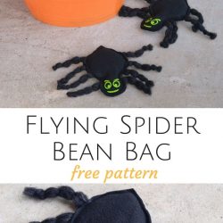 Flying Spider Bean Bags