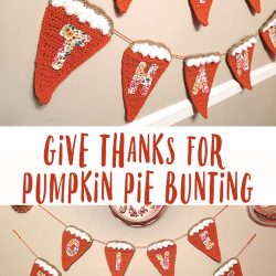 Give Thanks for Pumpkin Pie Crochet Bunting
