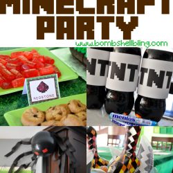 Minecraft Birthday Party