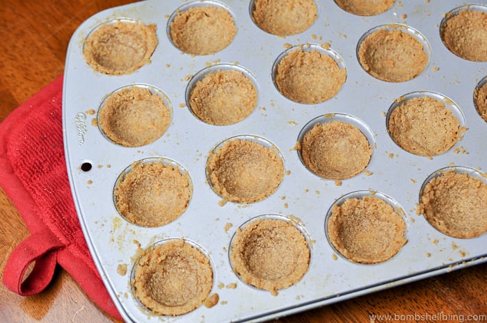 These s'mores cups are the perfect recipe to bring to a summer picnic. Portable s'mores --- YAY! Tasty and simple to put together.