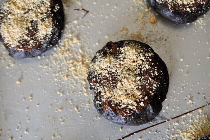 These rich, decadent dark chocolate s'mores cookies are sure to delight kids and adults alike! They are sinfully indulgent but playful all at once.