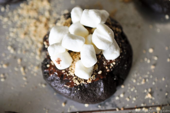 These rich, decadent dark chocolate s'mores cookies are sure to delight kids and adults alike! They are sinfully indulgent but playful all at once.
