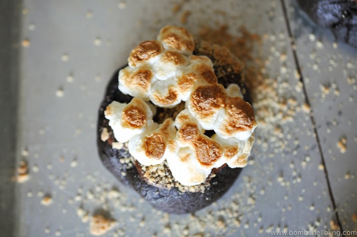These rich, decadent dark chocolate s'mores cookies are sure to delight kids and adults alike! They are sinfully indulgent but playful all at once.