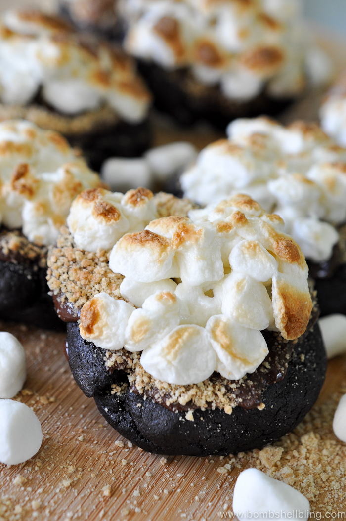These rich, decadent dark chocolate s'mores cookies are sure to delight kids and adults alike! They are sinfully indulgent but playful all at once.